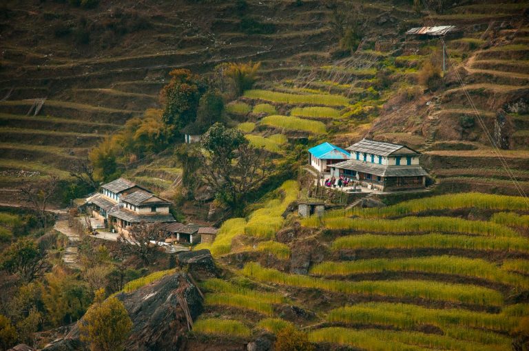 Captivating terraced fields with village houses in the picturesque Annapurna region of Nepal.